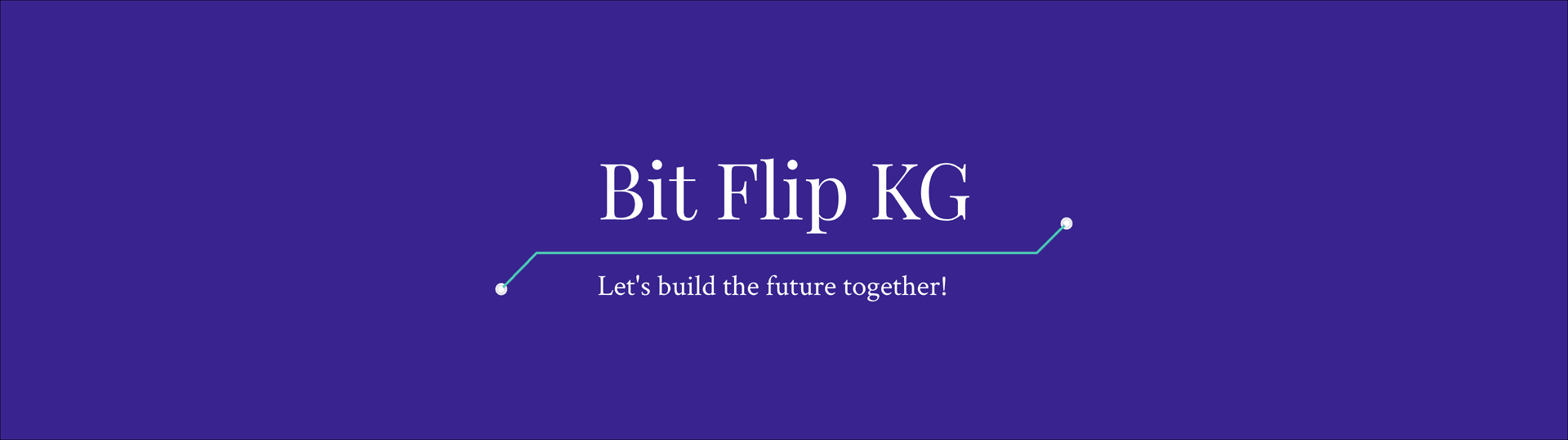 Bit Flip Logo